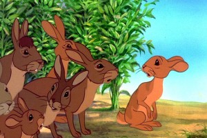 watershipdown1