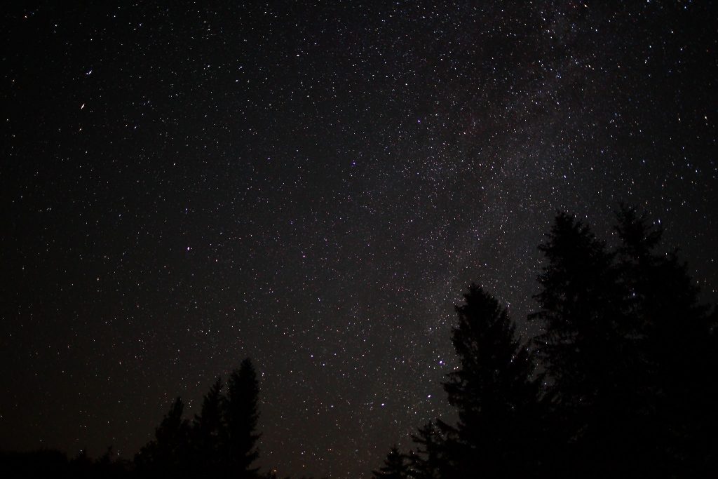 2048px-Spruce-forest-night-sky-stars_-_West_Virginia_-_ForestWander