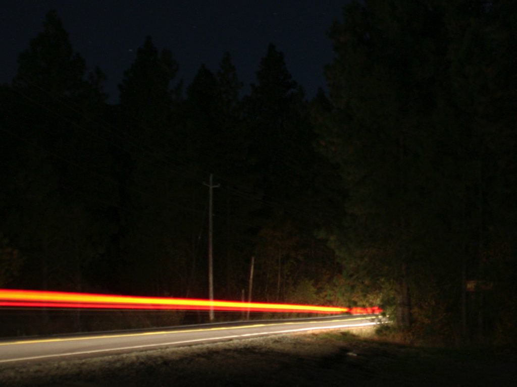 forest road at night